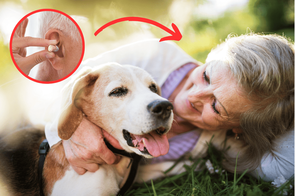 Hearing Aids and Pets: What You Need to Know